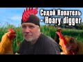 Седой Копатель - Hoary digger он же петух!