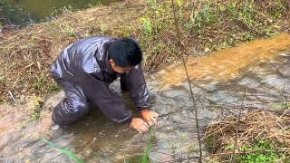 The young man raised fish in the mountains. Today  he found that there were many fish in the ditch.