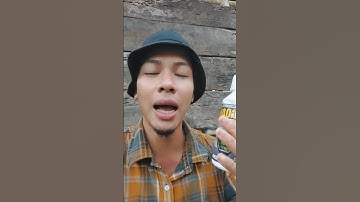 Atasi hama belalng, jangkrik dan ulat tanaman cabe #shorts #arispipit #tanamancabe