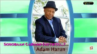 Adem Harun _ 'Sosobaan Garaan Fayyiftu'_ best Oromo Songs ~ 2019HD●