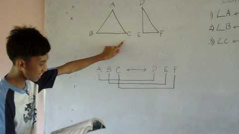 Conditions For Triangle Congruence Part I
