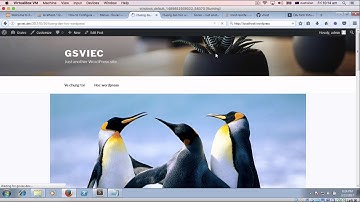 Cài đặt Plugin và Theme trong Wordpress