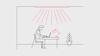 How does Lighting asset management software work? screenshot 4