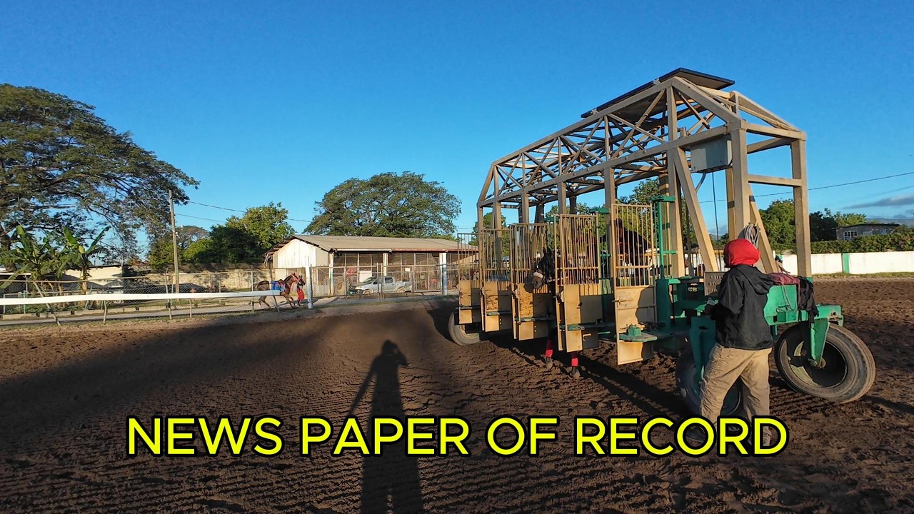 HORSE FLY OUT THE GATE MORNING WORKOUT FEB 24-25 2026