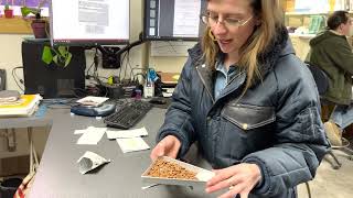 Pulling and Scanning Seeds at Seed Savers Exchange