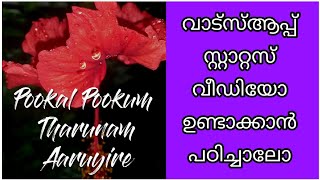How to Create lyrical whatsapp status Malayalam | lyricaly app tutorial Malayalam screenshot 5