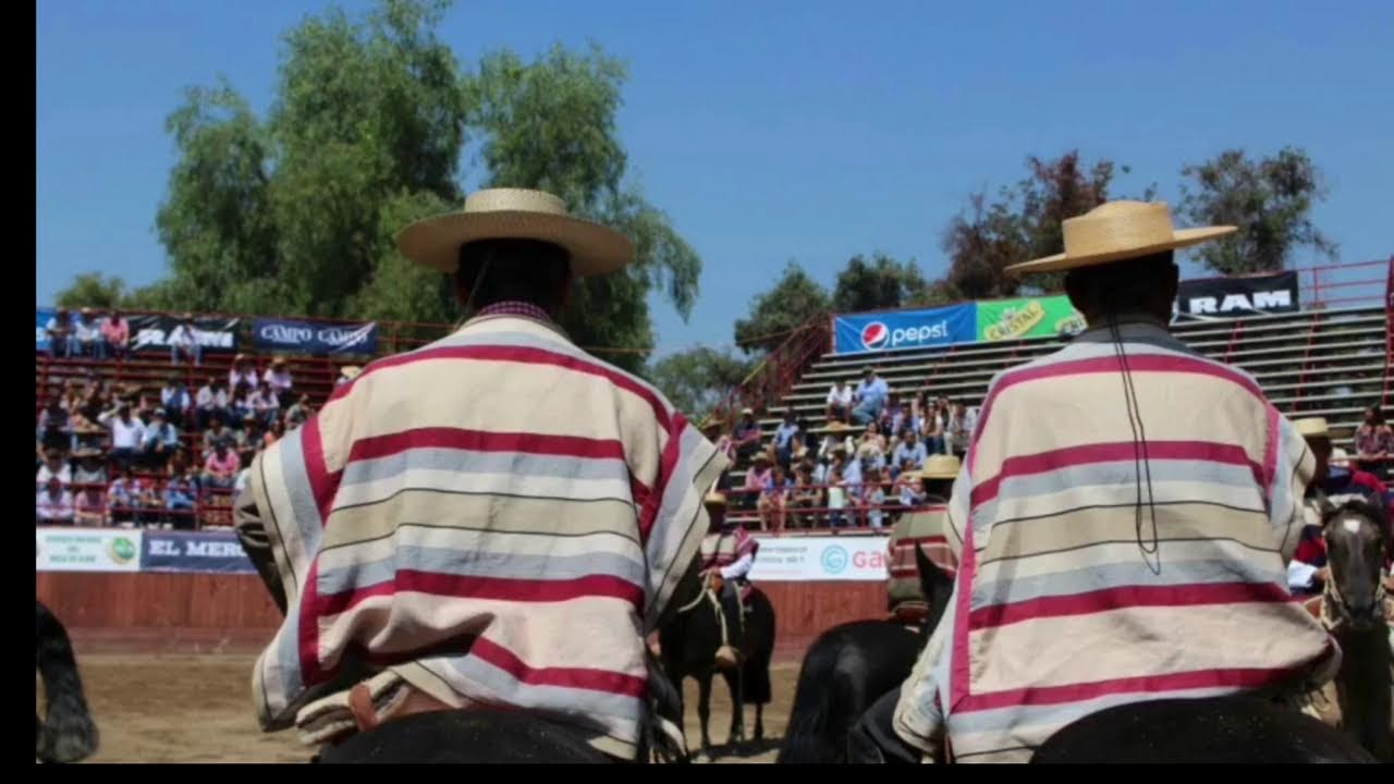 SERIE DE CAMPEONES  CLUB NEVADOS DE SAN CLEMENTE