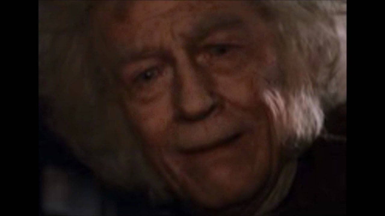 wer hat mr. ollivander gespielt