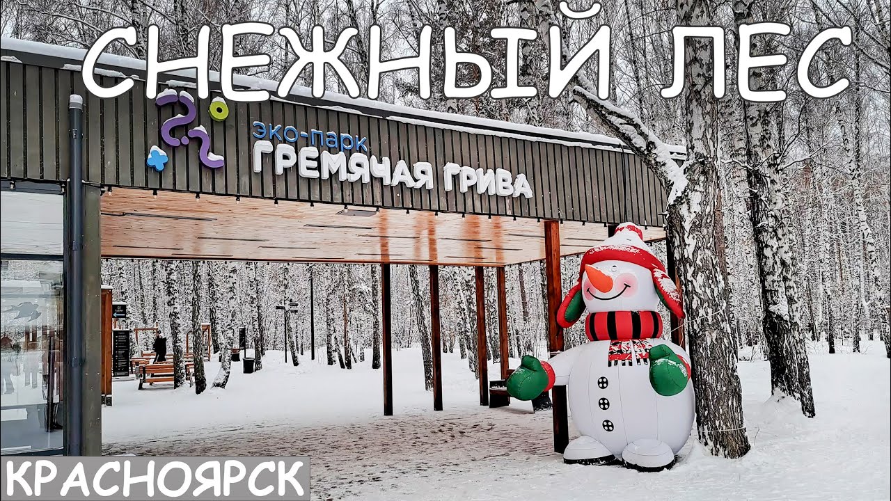 ПРОГУЛКА ПО ЗАСНЕЖЕННОМУ ЭКО-ПАРКУ «ГРЕМЯЧАЯ ГРИВА». КРАСНОЯРСК