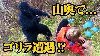 【ジョーブログにドッキリ!?】山奥でBBQ中にゴリラが現れたらどうなる!?しかも中身が亀田史郎だったら!?