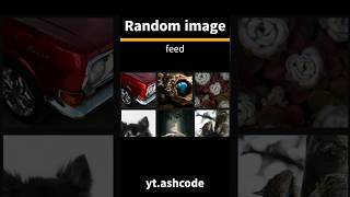 Random images feed using javascript #shorts #coding #programming #javascript #youtubeshorts