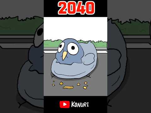 요즘 비둘기 특징