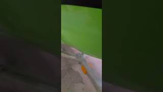 2020 Sea Doo rxt-x California Green on iCatch trailer. screenshot 2