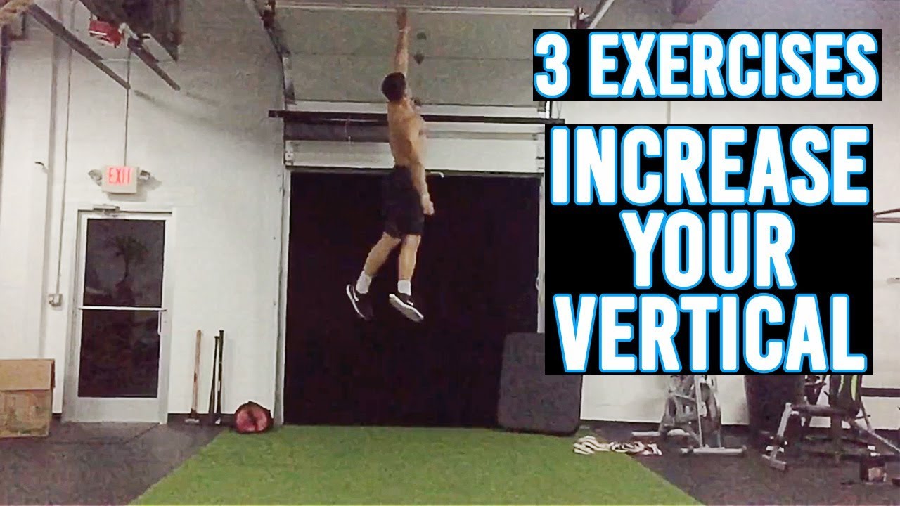 3 LEG EXERCISES TO INCREASE YOUR VERTICAL - YouTube