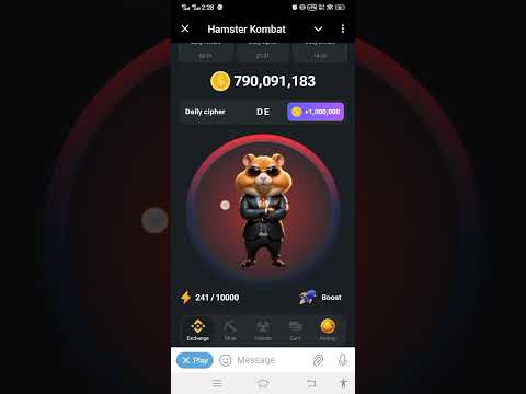 hamster kombat daily