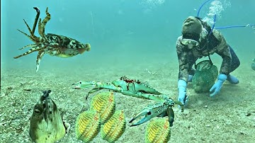 Diving to capture seafood to make money to support the family