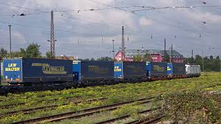 193 030-4 D RAILL   VECTRON