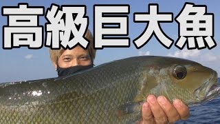 船釣りでまさかの化け物サイズが釣れた