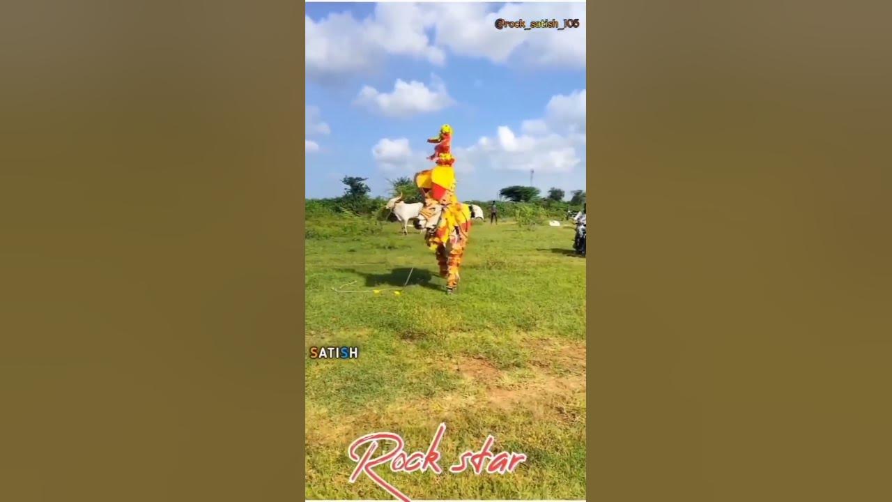 Haveri rockstar 105 haveri rockstar trending whatsapp status 105 king