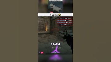 1 bullet 😉  #cs2 #csgo #gaming #cs2memes #wtfcsgo #counterstrike #clips #twitch #pngtuber