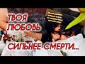 Ушёл, но не забыт: поклонники на могиле Юры Шатунова / Троекуровское кладбище 3 ноября 2024 года