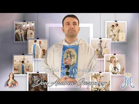 Video Liturgia di Domenica 12 Luglio 2026