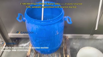 2025 India New Installation Casein Superior Purity CAREDDI 300L Supercritical CO2 Extraction