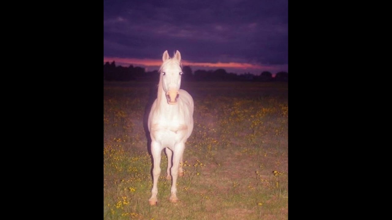 [free] YEAT x TRAVIS SCOTT x KANYE WEST x A DANGEROUS LYFE type beat 