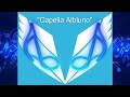 Capture de la vidéo No. 1: "Capella Albluno"