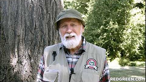 Red Green on Music Videos