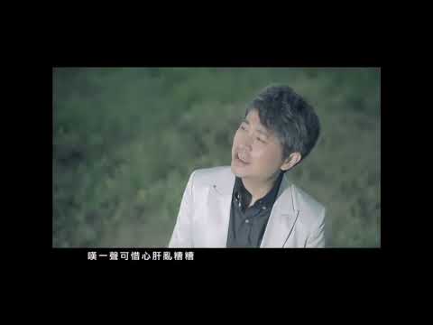 台語經典   楊宗憲/蒲庭龍    組合輯29