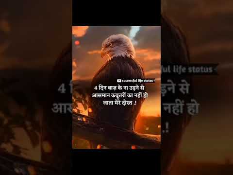 4 दिन बाज के ना उड़ने से || successful life status || motivation WhatsApp status || lifestyle status