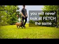Off-Leash Training Is EASY When Dogs Can Play Like This