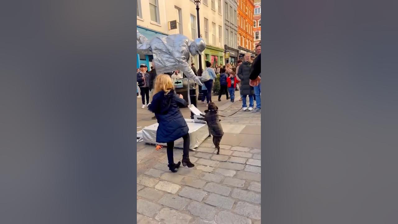 Wonderful moments with Levitating Silverman Statue. performer 