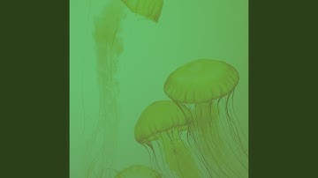 Terrific Backdrops for Devoted Inspiration