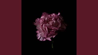 BUTTERFLIES (Piano Version)