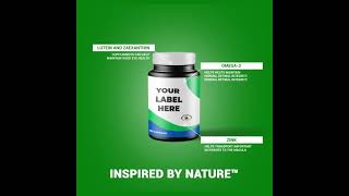 0830 ECE Inc E-Com Template 4
