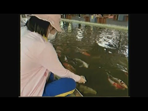 field trip Ayutthaya (M.4)