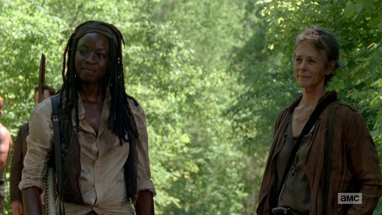 Image result for Michonne carol