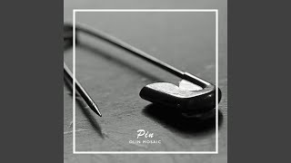 Pin