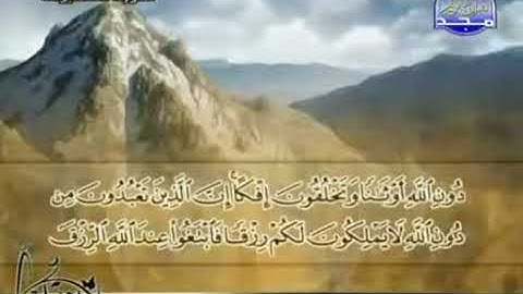تلاوة محبرة من سورة العنكبوت من آية رقم  ( ١  : ٤٣)