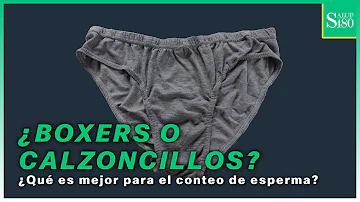 ¿Por qué los bóxers se sientan encima de la gente?