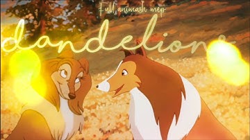 Dandelions - rarepair animash mep