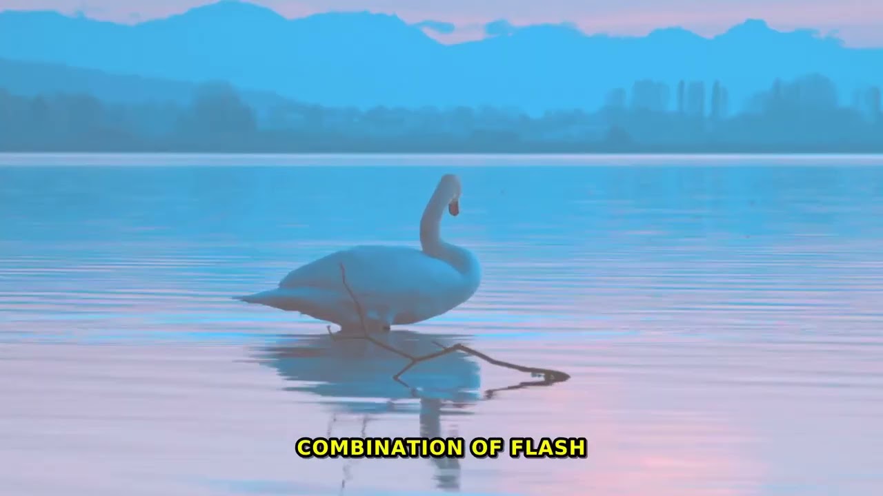 Did you know that mirror-like reflections can be achieved in