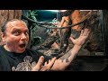 BUILDING A NEW HUGE ENCLOSURE FOR MY RHINO IGUANAS!! DIDDY and DIXIE!! | BRIAN BARCZYK