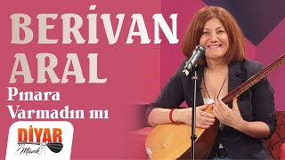 Berivan Aral - Pınara Varmadın mı  Resimi