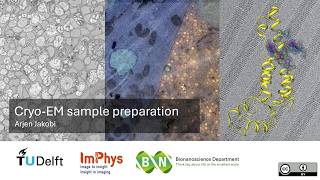 Cryo-EM sample preparation