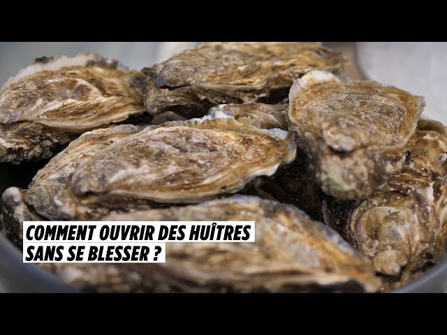 Vidéo. Charente-Maritime : l'huître facile à ouvrir, comment ça