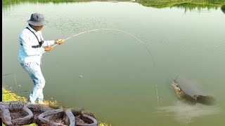 बाम मछली कैसे पकडें || Baam fish caching || Floot fishing || Hook chara bite || Royal Fisher