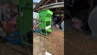 Fındık Hasatımız Başladı Hayırlısıyla 2022 Patozu Resimi